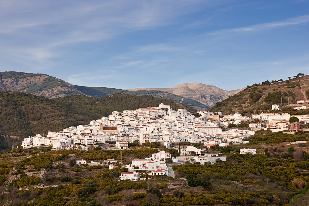 Canillas de Albaida