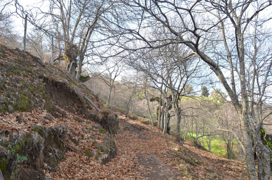 Sendero de Las Pasadas