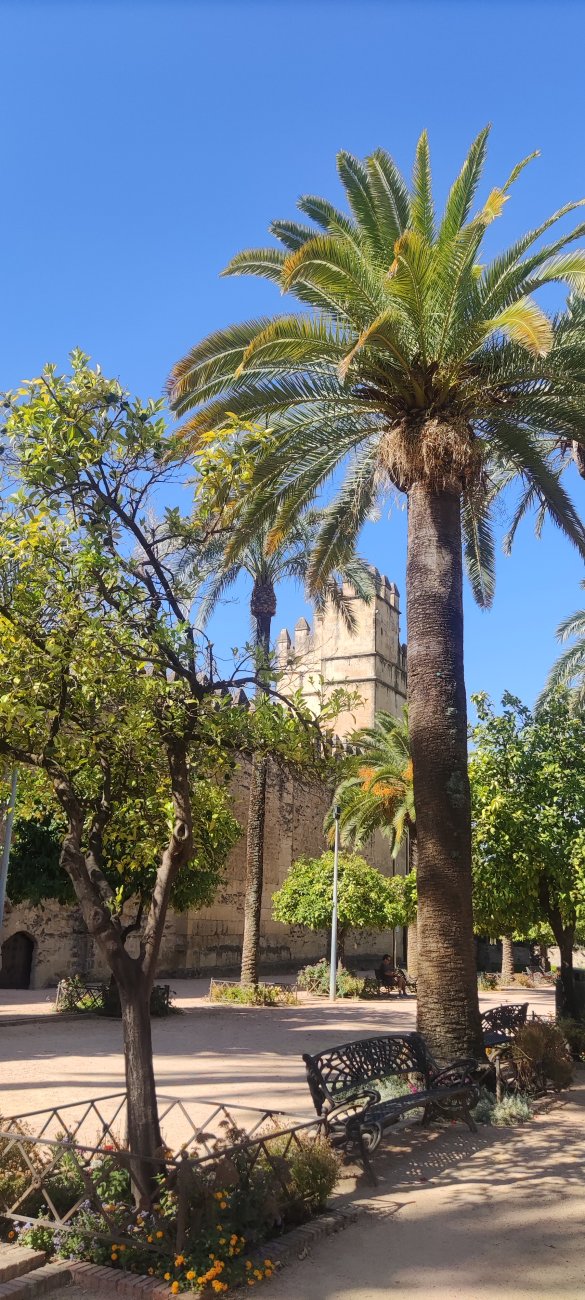 Qué Ver en Córdoba en Dos Días