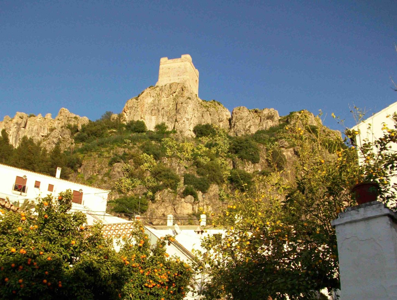 Visita la Torre del Homenaje