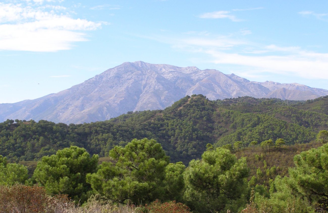 Parque Natural Sierra de las Nieves