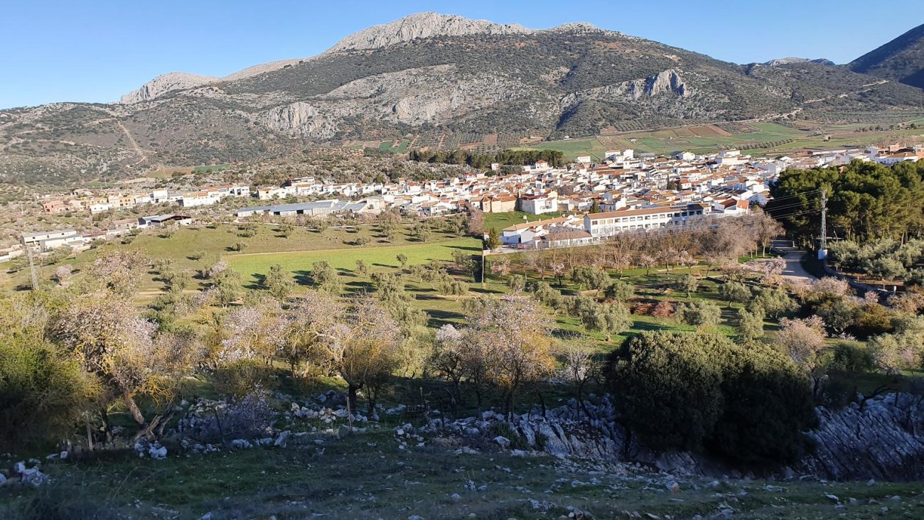 Rutas y Senderos de Alfarnate