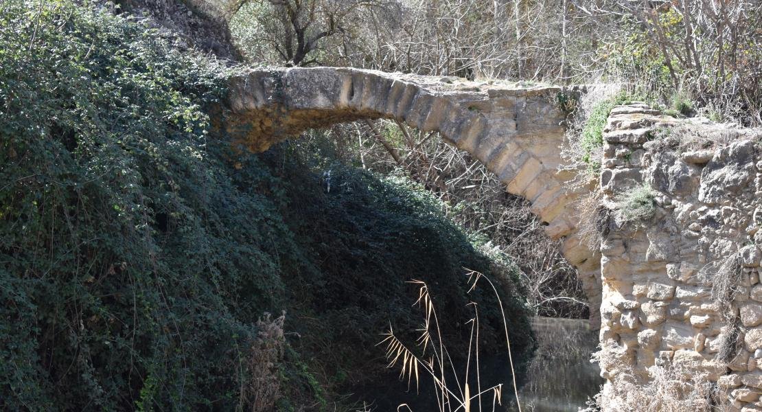  Puente Romano de Alhama de Granada