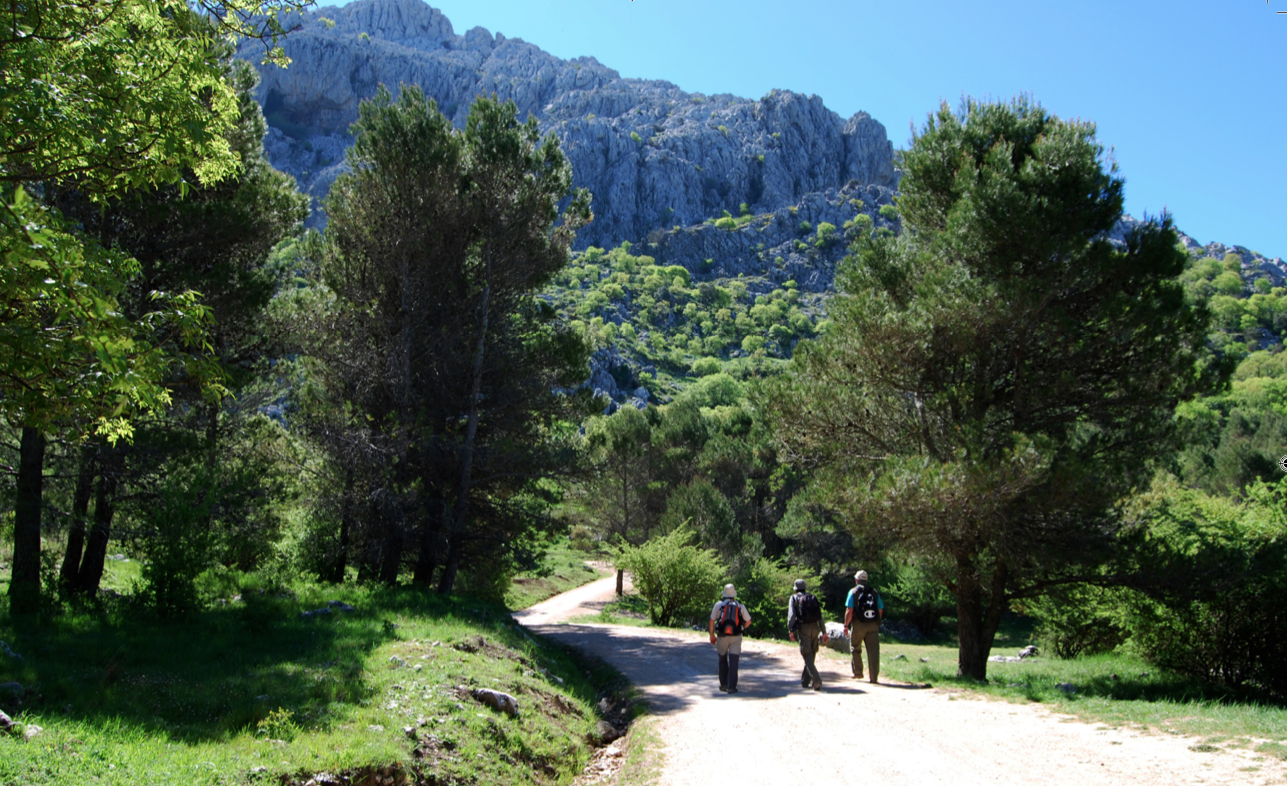 Ruta de los Tajos