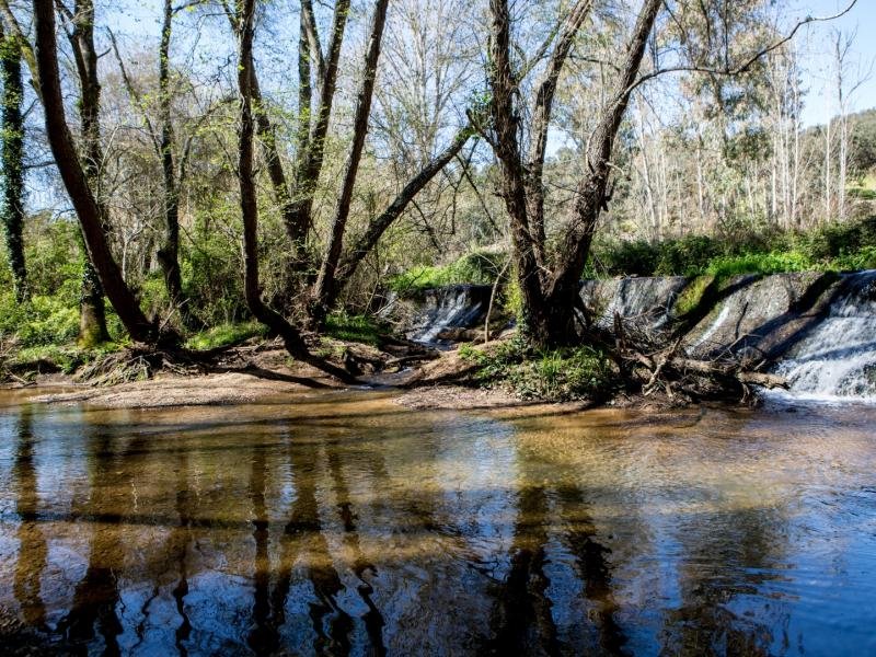 Parque Natural Sierra Morena de Sevilla