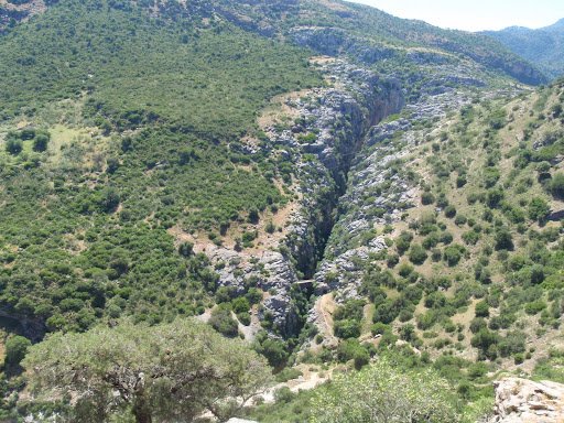 Cañon de buitreras