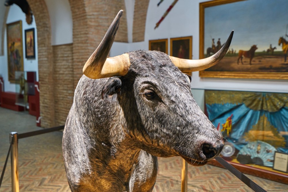 Museo Taurino